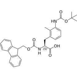 STA PHARMACEUTICAL US LLC&nbsp;Fmoc-L-Phe(2Me-3NHBoc)-OH | 100 g | InChIKey KBVLKQSTLLSXFA-SANMLTNESA-N | MW 516.594