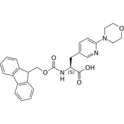 STA PHARMACEUTICAL US LLC&nbsp;(S)-2-((((9H-fluoren-9-yl)methoxy)carbonyl)amino)-3-(6-morpholinopyridin-3-yl)propanoic acid | 10 g | InChIKey SIPDCCWACWRJIG-DEOSSOPVSA-N | MW 473.529
