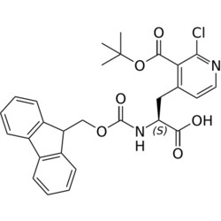 STA PHARMACEUTICAL US LLC&nbsp;Fmoc-L-4-Pal(2Cl-3COOtBu)-OH | 5 g | InChIKey CNSGWVVKBKXORG-QFIPXVFZSA-N | MW 522.982