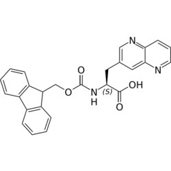 STA PHARMACEUTICAL US LLC&nbsp;Fmoc-L-3-naphthyridine-OH | 10 g | InChIKey COJWWGBJQOJOLN-DEOSSOPVSA-N | MW 439.471