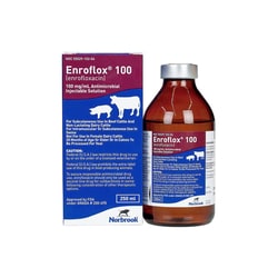 Med Vet International Norbrook Enroflox 100 (Enrofloxacin), Antimicrobial