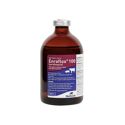 Med Vet International&nbsp;Norbrook Enroflox 100 (Enrofloxacin), Antimicrobial Injectable Solution, 500mL, Each