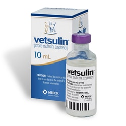 Med Vet International Vetsulin insulin, 10mL Vial