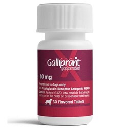 Med Vet International Galliprant Flavored Tablets, 60mg, 30ct