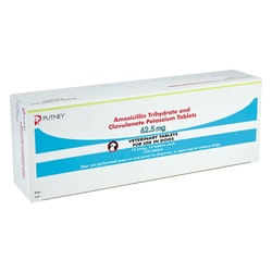 Med Vet International Putney Amoxicillin Trihydrate And Clavulanate Potassium Tablets, 62.5mg, 210ct.