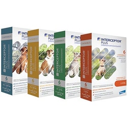 Med Vet International&nbsp;Interceptor Plus Tablets, Orange, 2.3mg Milbemycin Oxime, 22.8mg Praziquantel (12 Doses X 5 Cards)