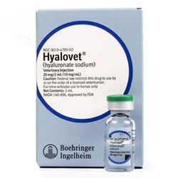Med Vet International Hyalovet 10mg/mL, 2mL Syringe