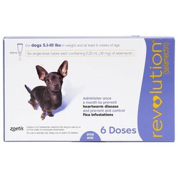 Med Vet International&nbsp;Zoetis Revolution Purple For Dogs, 5.1-10 Lbs, 6-Pack