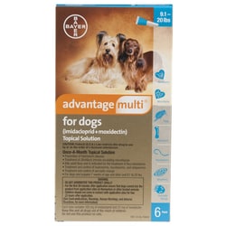 Med Vet International Advantage Multi For Dogs Teal, 9.1-20Lbs, 6 Pack,
