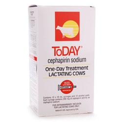 Med Vet International Today Cepharpin Sodium, 12/Box, Quantity: Pack of