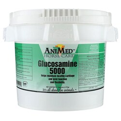 Med Vet International&nbsp;Glucosamine, 5000 For Horses, 5Lb, Each