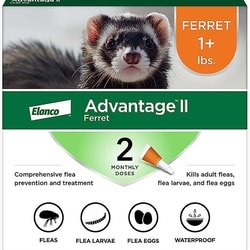 Med Vet International Advantage II, Ferrets Over 1 Lb, 0.4mL, Orange, 2 Tubes/Card, 6 Cards/Carton