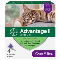Med Vet International&nbsp;Advantage II, Cats 10-18Lb, 4 Cards