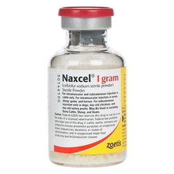 Med Vet International Zoetis Naxcel Sterile Powder, Injectable Antibiotic,