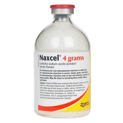 Med Vet International Zoetis Naxcel, 4gms, Quantity: Each of 1