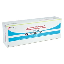 Med Vet International Putney Amoxicillin Trihydrate And Clavulanate Potassium Tablets, 250mg, 210ct.
