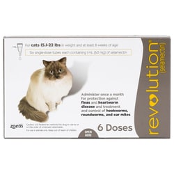 Med Vet International&nbsp;Zoetis Revolution For Cats, 15.1-22 Lbs, 6-Pack