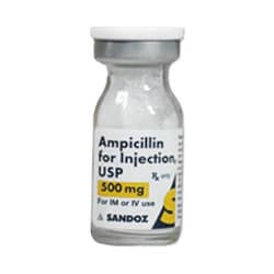Med Vet International&nbsp;Ampicillin Injection (Principen) 500mg, 10mL Vial Powder, 10/Pack