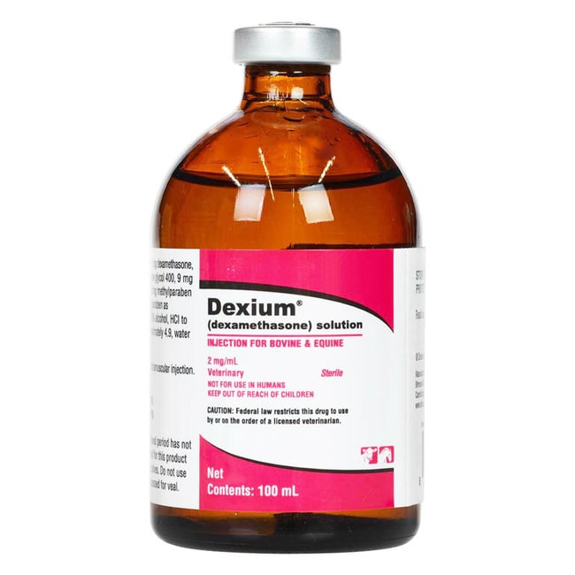 Med Vet International Dexamethasone Injection 2mg/mL, 100mL, Quantity ...