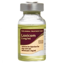 Med Vet International Loxicom (Meloxicam) Injection 5mg/mL, 10mL Vial