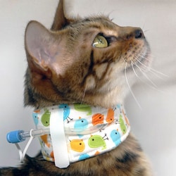 Med Vet International&nbsp;Kitty And Kanine Kollar, X-Small