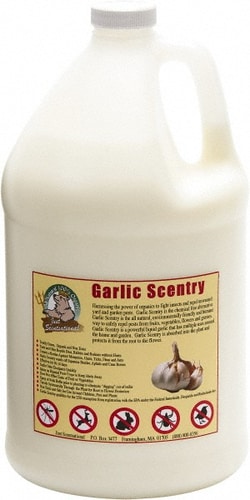 MSC&nbsp;Just Scentsational Garlic Scentry Concentrate, Liquid, All-Natural, 32 oz