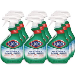 MSC&nbsp;CLEAN-UP CLNR PLUS BLEACH