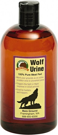 MSC FOX URINE