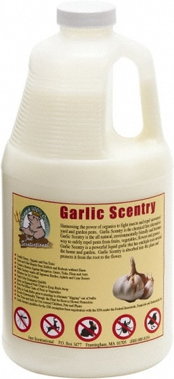 MSC&nbsp;Bare Ground Solutions Garlic Scentry, 1 Gallon, Ready to Use, Liquid, Animal and Insect Repellent