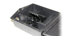 MSC&nbsp;Bell Laboratories Mouse Bait Station, Monitor, Trap, Tamper-Resistant, 6 x 4 x 1.5 in