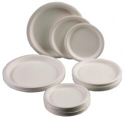 MSC TY IV PLAS FLATWARE