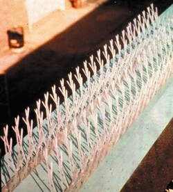 MSC SPIKES SPECIAL ADHESIVE