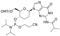 STA PHARMACEUTICAL US LLC&nbsp;β-D-homoDNA G(iBu) amidite | 1 g | CAS 145610-79-3 | InChIKey CLVKFRFZLLFRMK-AYWNMRARSA-N
