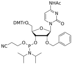 STA PHARMACEUTICAL US LLC&nbsp;2'-O-benzyl C(Ac) amidite | 5 g | CAS 1314972-07-0 | InChIKey ZJPXSNWBKCTYCM-GXCIXUDBSA-N