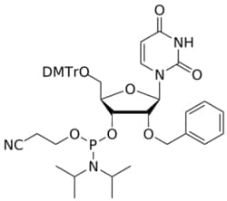 STA PHARMACEUTICAL US LLC&nbsp;2'-O-benzyl U amidite | 1 g | CAS 1314972-05-8 | InChIKey TYFNZORRVWANFD-YDFRAEGJSA-N
