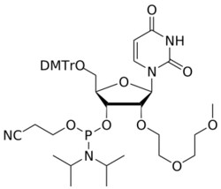 STA PHARMACEUTICAL US LLC&nbsp;2'-MOEOE U amidite | 5 g | InChIKey VRDBDEPDQDSNBZ-FSEQMNGPSA-N | MW 848.930761998