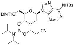 STA PHARMACEUTICAL US LLC&nbsp;β-D-homoDNA A(Bz) amidite | 1 g | CAS 145610-78-2 | InChIKey HFNLJXSCLMNOLK-CIUTVZQJSA-N