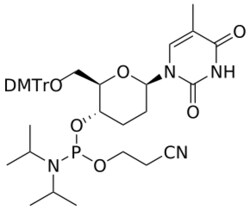 STA PHARMACEUTICAL US LLC&nbsp;β-D-homoDNA T amidite | 1 g | CAS 145610-75-9 | InChIKey INNQTTGJISETMX-VPJZQFIISA-N
