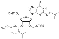 STA PHARMACEUTICAL US LLC&nbsp;2'-TOM G(dmf) amidite | 5 g | InChIKey FZIKGVYOZMXXNV-UFEWGNAQSA-N | MW 1027.288761998