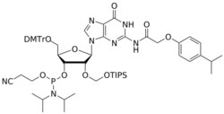 STA PHARMACEUTICAL US LLC&nbsp;2'-TOM G(iPr-pac) amidite | 200 mg | InChIKey MCJWYJDVECOECQ-VPEMNPORSA-N | MW 1148.423761998