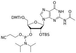 STA PHARMACEUTICAL US LLC&nbsp;2'-OTBS G(Ac) amidite | 100 g | CAS 944138-03-8 | MDL MFCD18643321