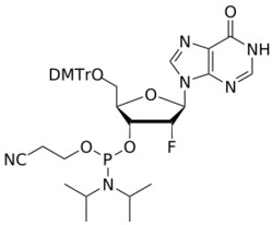 STA PHARMACEUTICAL US LLC&nbsp;2'-F I amidite | 25 g | CAS 2245842-16-2 | MDL MFCD22374068