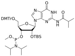STA PHARMACEUTICAL US LLC&nbsp;2'-OTBS G(iBu) OMe-amidite | 1 g | CAS 118684-41-6 | InChIKey GQXDBSFXGQUFKG-VCGWOZLGSA-N
