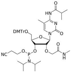 STA PHARMACEUTICAL US LLC&nbsp;2'-O-NMA MeC(iBu) amidite | 1 g | InChIKey LAHCHMSIGMYPKH-LKYMEUIMSA-N | MW 901.010761998