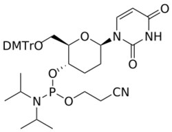 STA PHARMACEUTICAL US LLC&nbsp;β-D-homoDNA U amidite | 5 g | CAS 145610-76-0 | InChIKey WUNFQHAAAPTODT-SXIXUTRBSA-N