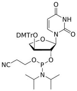 STA PHARMACEUTICAL US LLC&nbsp;TNA U amidite | 25 g | CAS 325683-95-2 | InChIKey CTMYNQLRHZTTLF-YPQZKSMWSA-N