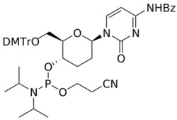 STA PHARMACEUTICAL US LLC&nbsp;β-D-homoDNA C(Bz) amidite | 5 g | CAS 145610-77-1 | InChIKey KKYRUQGNJCINPK-LVDJXHKXSA-N