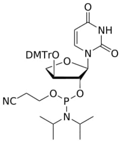 STA PHARMACEUTICAL US LLC&nbsp;TNA U amidite | 5 g | CAS 325683-95-2 | InChIKey CTMYNQLRHZTTLF-YPQZKSMWSA-N