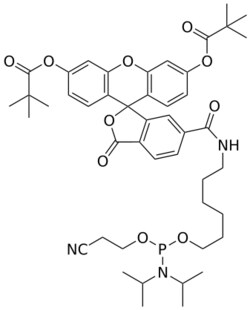 STA PHARMACEUTICAL US LLC&nbsp;6-FAM amidite | 5 g | CAS 204697-37-0 | MDL MFCD01940925