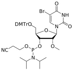 STA PHARMACEUTICAL US LLC&nbsp;2'-OMe 5-Br-U amidite | 5 g | CAS 1391914-08-1 | MDL MFCD08062034